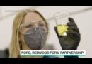 Ford to Make Renewable Vehicles With Redwood Materials