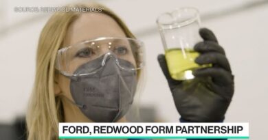 Ford to Make Renewable Vehicles With Redwood Materials