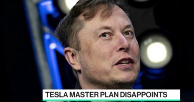 Gary Black: Tesla Still a Cheap Stock