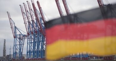 Germany’s Double Dip Recession Risk ‘Certainly Rising’: Ifo’s Fuest