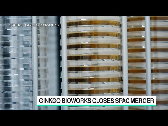 Ginkgo Bioworks CEO: Delta Will Be ‘Endemic Like the Flu’