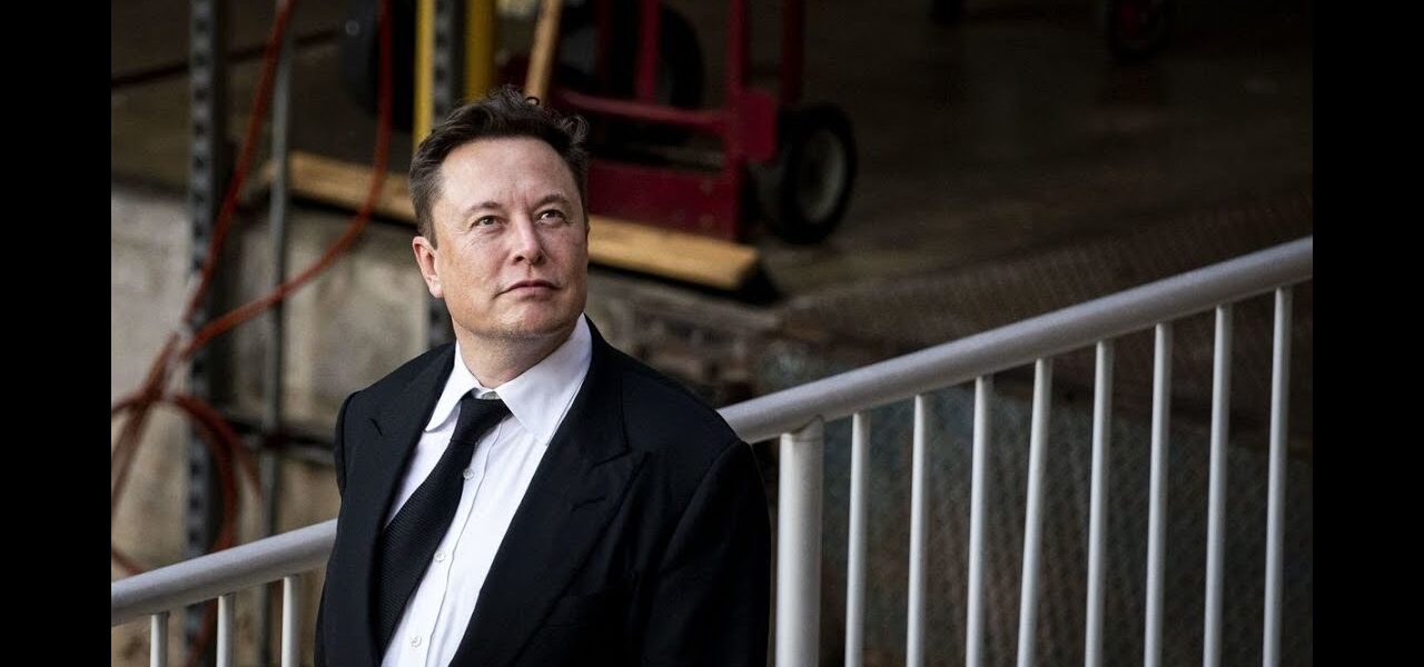 Going Viral: Elon Musk Picks on McDonald’s on Twitter