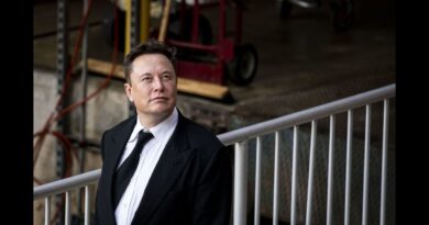 Going Viral: Elon Musk Picks on McDonald's on Twitter