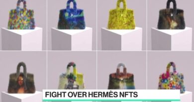 Hermès Sues Mason Rothschild Over Sale of Birkin Bag NFTs