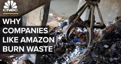 How Amazon, American Airlines And Subaru Burn Waste To Make Energy