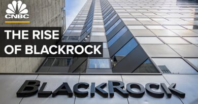 How BlackRock Became The World’s Largest Asset Manager