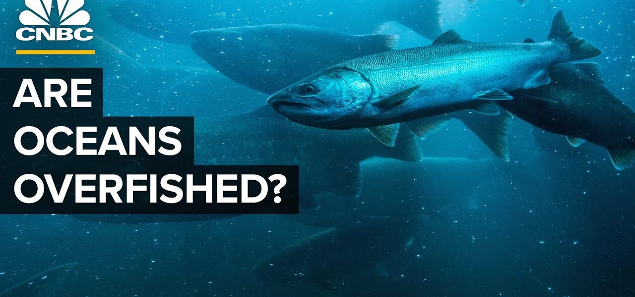 How The U.S. Went From Overfishing To Underfishing