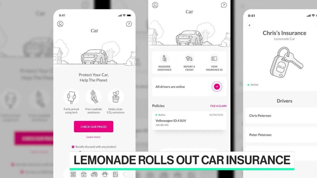 Lemonade CEO on Car Insurance Expansion