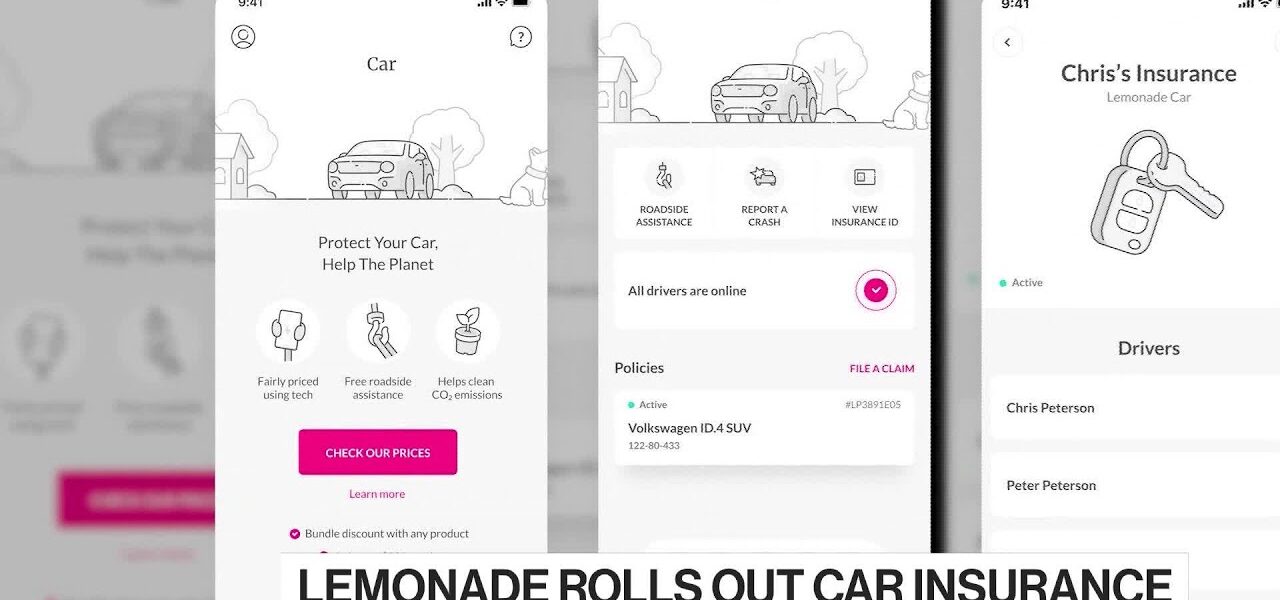 Lemonade CEO on Car Insurance Expansion