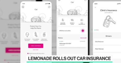 Lemonade CEO on Car Insurance Expansion