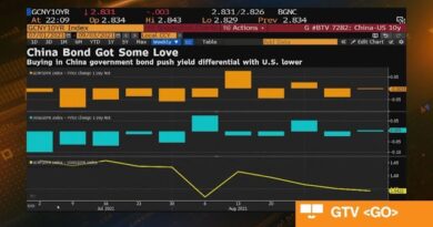 Making Sense of China’s Bond Market