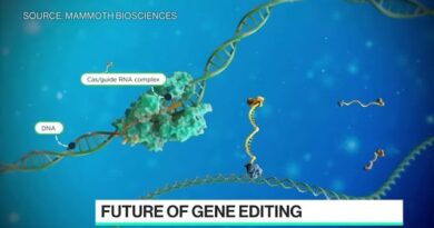 Mammoth Bio CEO on Bayer Pact to Make Crispr Therapies