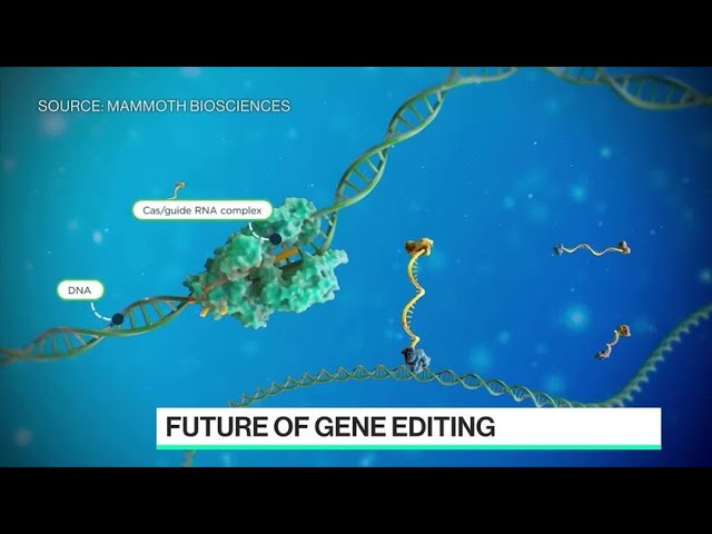 Mammoth Bio CEO on Bayer Pact to Make Crispr Therapies