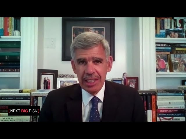 Mohamed El-Erian: Inequality Creates Next Big Risk