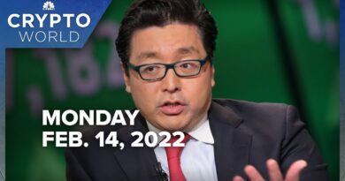 Crypto bull Tom Lee lays out risks to 0,000 bitcoin price target: CNBC Crypto World