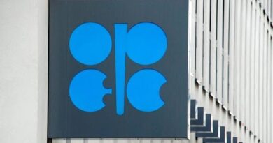 OPEC+ to Delay Production 1-3 Months, JPMorgan’s Malek Says