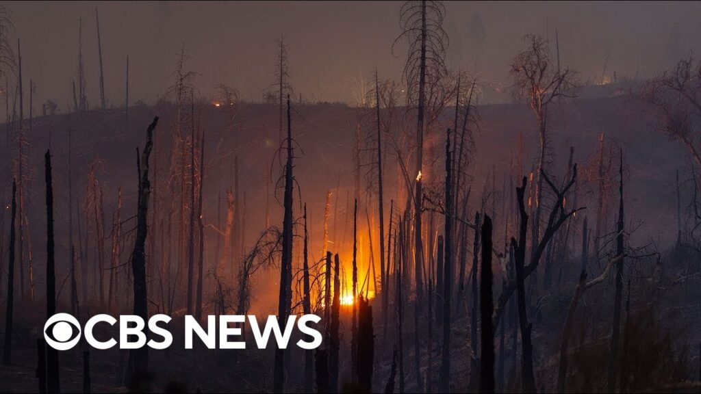 Over 30 million properties face wildfire risk nationwide, report states