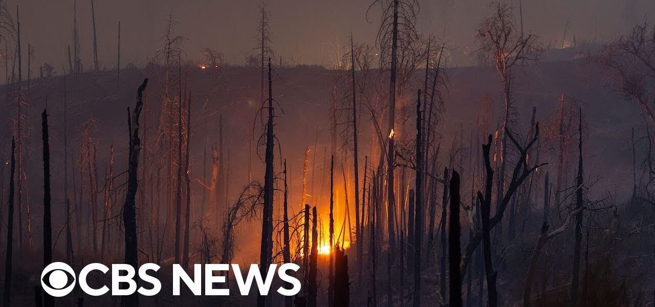 Over 30 million properties face wildfire risk nationwide, report states