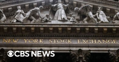 Stock market responds to midterm elections