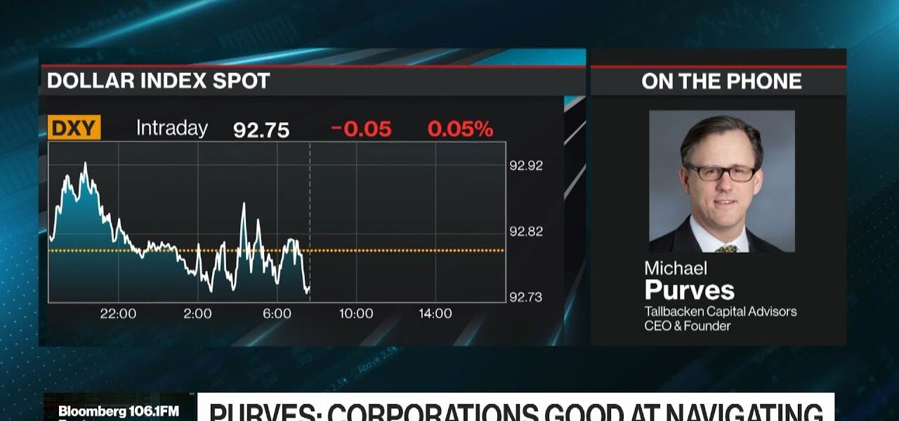 Tallbacken’s Purves Likes How Companies Are Performing During Pandemic