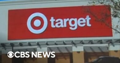 Target warns of weak holiday shopping season