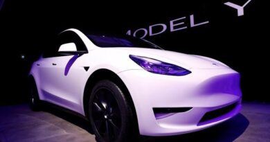 Tesla Recall Not a Concern, Analyst Dan Ives Says