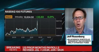 This Is a ‘One-Off Slowdown,’ Says BlackRock’s Rosenberg