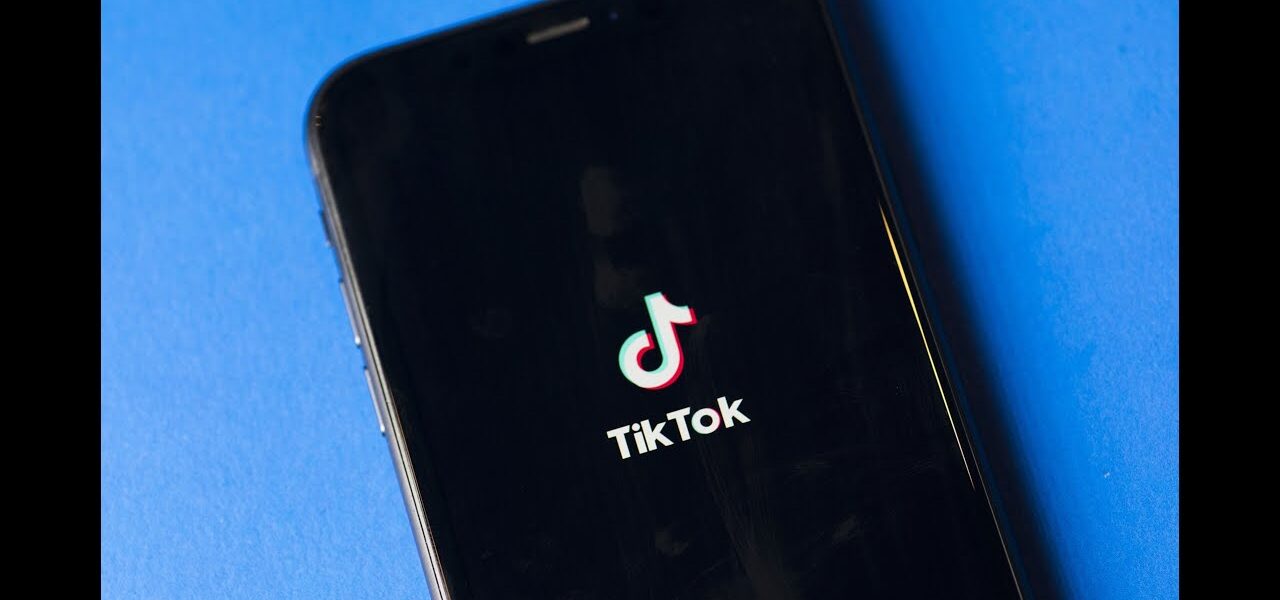 TikTok Should Be US-Owned, Says the Ethical Hacker