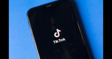 TikTok Should Be US-Owned, Says the Ethical Hacker