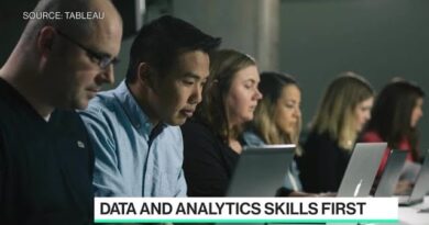 Training the Next Generation of Data Workers