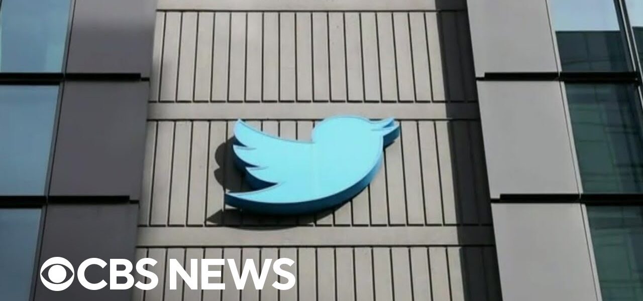 Twitter sees mass layoffs following Elon Musk takeover