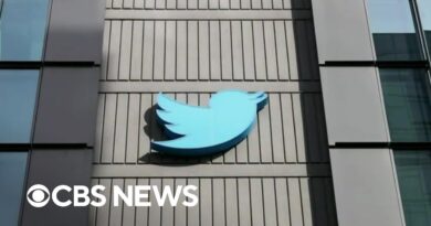 Twitter sees mass layoffs following Elon Musk takeover