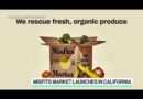 Ugly But Delicious: Online Grocery Delivery Service Misfits Market