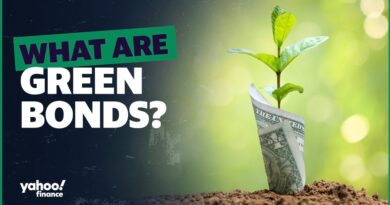 What are Green Bonds?: YF Explains