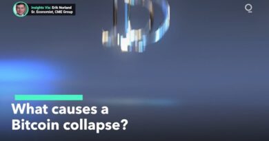 What Causes a Bitcoin Collapse?