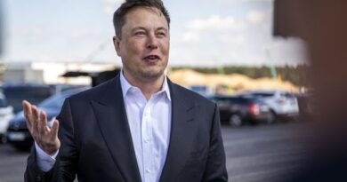 What Ford’s CEO Learned From Tesla’s Elon Musk