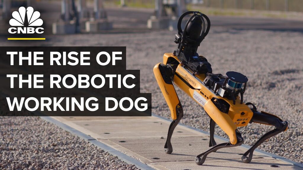 Where Four-Legged Robot Dogs Are Finding Work