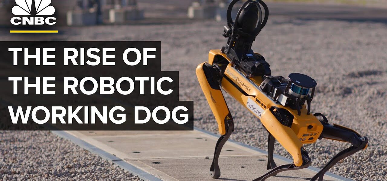 Where Four-Legged Robot Dogs Are Finding Work