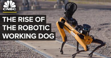 Where Four-Legged Robot Dogs Are Finding Work