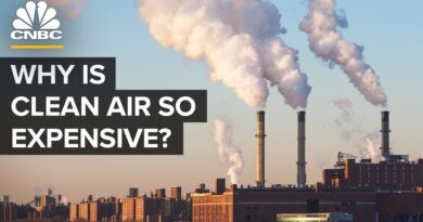 Why Air Quality In The U.S. Is So Bad