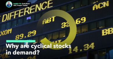 Why Are Cyclical Stocks Having a Moment?