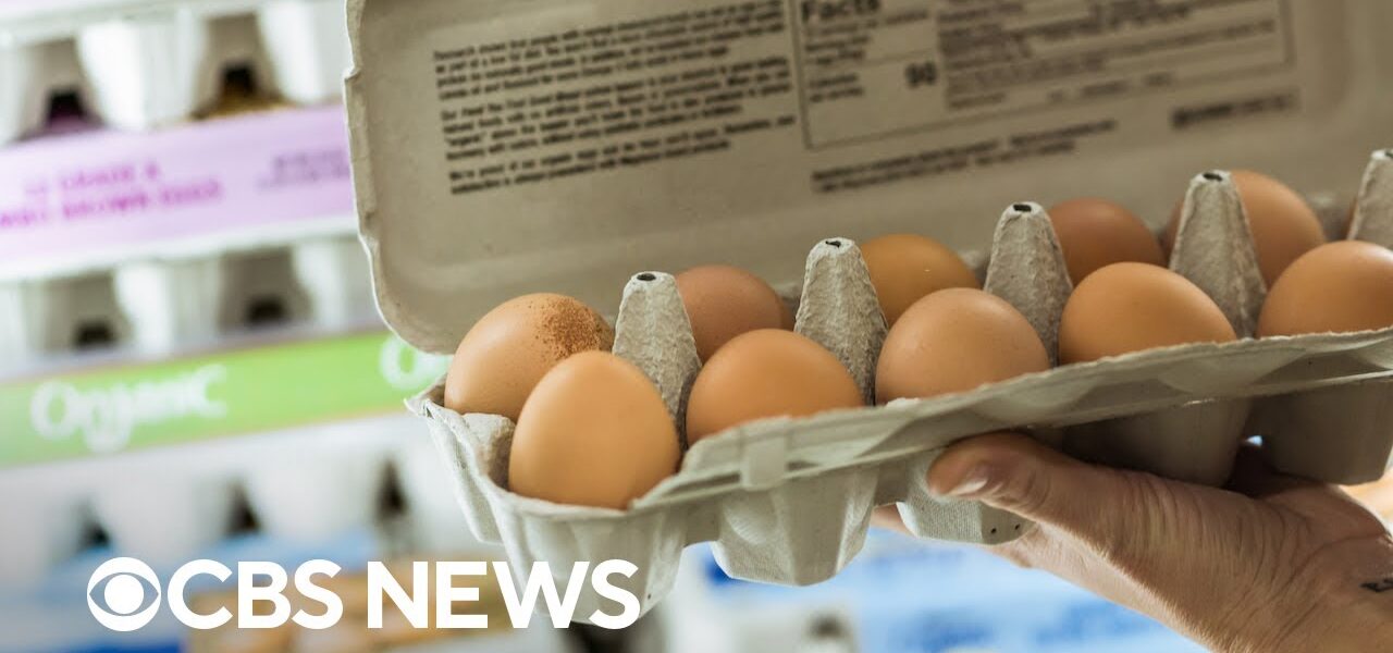 Why egg prices are soaring in the U.S.