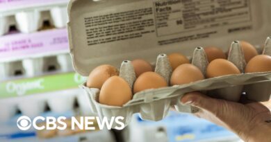 Why egg prices are soaring in the U.S.