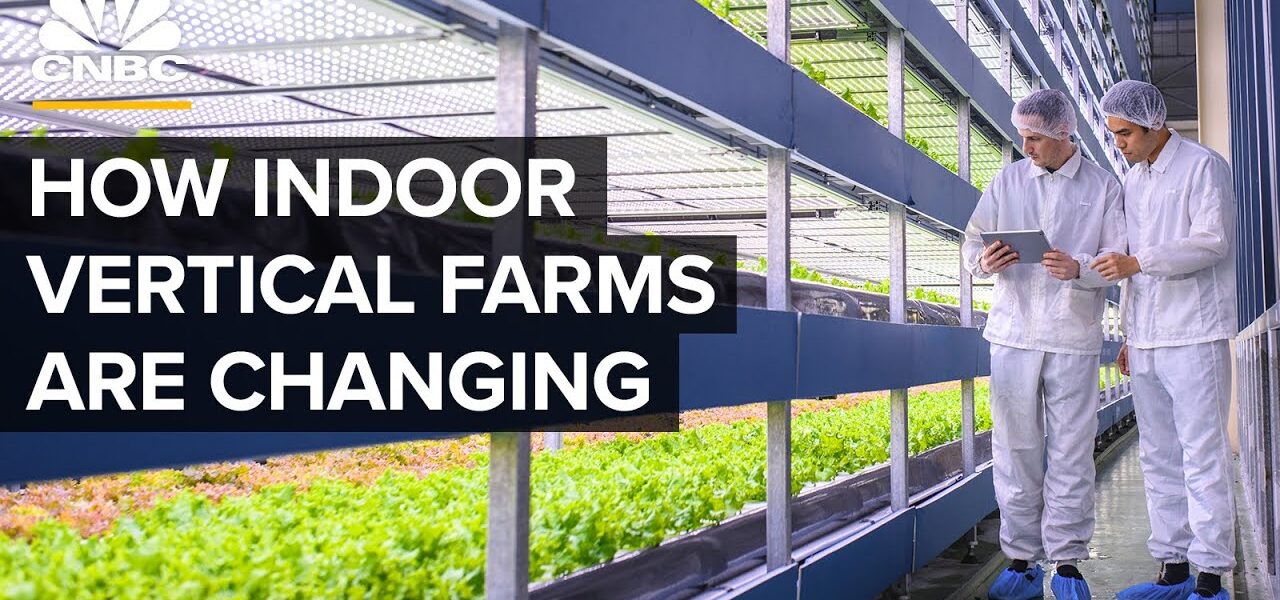 Why Vertical Farms Are Moving Beyond Leafy Greens