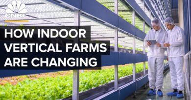 Why Vertical Farms Are Moving Beyond Leafy Greens