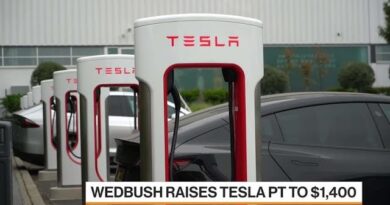 Why Wedbush Raised Its Tesla Price Target to $1400