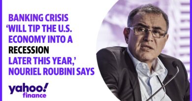 Credit crunch ‘will tip the U.S. economy into a recession later this year,’ Nouriel Roubini says