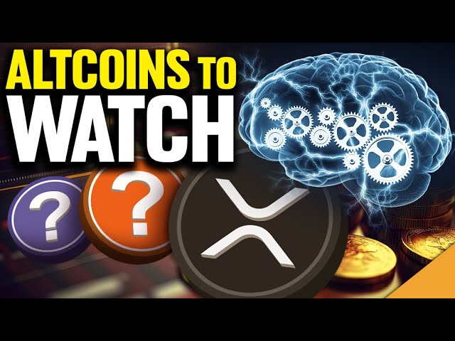 Altcoins to Watch 👀 (XRP Creating Buzz) 🐝