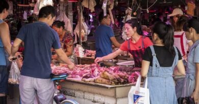 Australia Urges Scrutiny of Wildlife Wet Markets