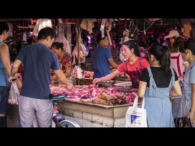 Australia Urges Scrutiny of Wildlife Wet Markets